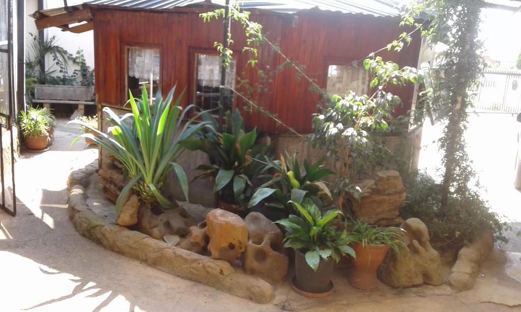 Pat'S Place Machadodorp Dış mekan fotoğraf